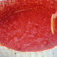 رب گوجه ریز  عالی ترش|خوردنی و آشامیدنی|مشهد, تبادکان|دیوار