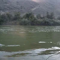 ماهیگیری ورزشی تفریحی