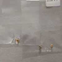 طلا پشت گوشواره ظریف نو نو