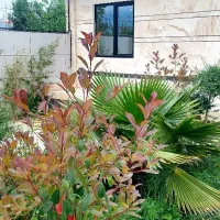 ویلای-کلیدنخورده