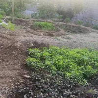 باغچه ویلای 600 متر 50بنا در مهرآباد رودهن|فروش خانه و ویلا|رودهن, |دیوار