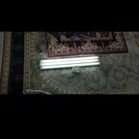 مهتابی و لامپ|لامپ و چراغ|تربت‌حیدریه, شهرک ولیعصر|دیوار