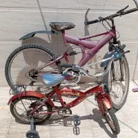 دو عدد دوچرخه