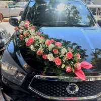 با قیمت باورنکردنی گل ماشین