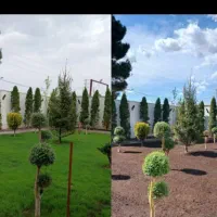 خدمات باغبانی باغچه کاری چمن کاری