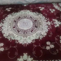 فرش ۱۲متری زرشکی تمیز وسالم|فرش|تهران, سعیدآباد|دیوار