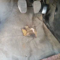 پژو اردی|خودرو سواری و وانت|کرج, برغان|دیوار