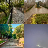 تور شخصی و متفاوت تهران‌گردی با سواری و لیدر محلی|تور و چارتر|تهران, اختیاریه|دیوار