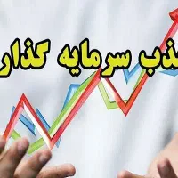 جذب سرمایه گذار و شراکت