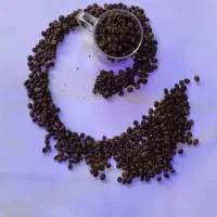 نیروی ساده کافه