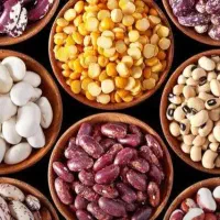 فروش عمده حبوبات به قیمت کارخانه