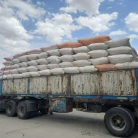 کاه گندم دیم فروشی