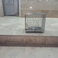 ۳ عدد قفس غلامی