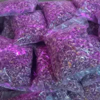 فروش گل محمدی