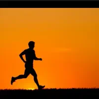 پارتنر ورزش