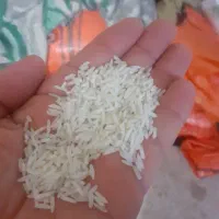 فروش برنج دُم سیاه صدری|خوردنی و آشامیدنی|کوچصفهان, |دیوار