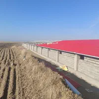 اجرای شیروانی|خدمات پیشه و مهارت|اردبیل, |دیوار