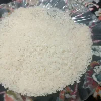 برنج ایرانی کشت دوم