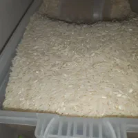 طارم هاشمی محصول سال زمین خودم