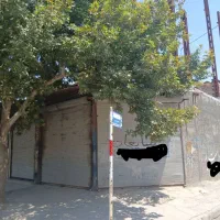 ملک فروشی
