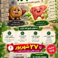 با دمنوش های خوشمزه کرونا رو از پا دربیار|خوردنی و آشامیدنی|تهران, بنیهاشم|دیوار
