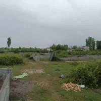 زمین شهرکی 207 متر چالوس نجارکلا