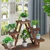 فروش تعدادی گل آپارتمانی و جا گلدانی