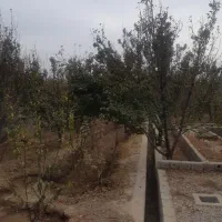 باغ اجاره ای|اجارهٔ کوتاهمدت ویلا و باغ|خمینیشهر, |دیوار