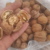 گردو پوست کاغذی بجنورد|خوردنی و آشامیدنی|ارطه, |دیوار