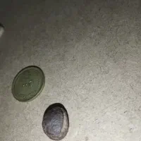 هبهاب|بدلیجات|خرمآباد, |دیوار