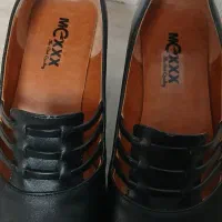 کفش مجلسی