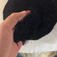 بذر سیاهدانه