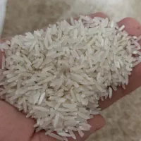 برنج محلی  ندا