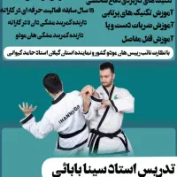 آموزش تخصصی دفاع شخصی هان مودو