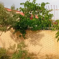 ویلای 180 متری|فروش خانه و ویلا|قم, باغ شریفی|دیوار