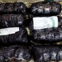 خوردن آشامیدن