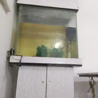 اکواریوم