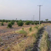 فروش ۳۰ هکتار زمین کشاورزی|فروش دفتر صنعتی، کشاورزی، تجاری|جغین, |دیوار