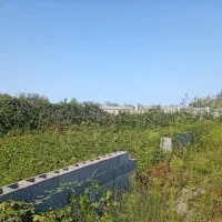 زمین ساحلی سمت دریا ۴۵۰ متری سند تک برگ