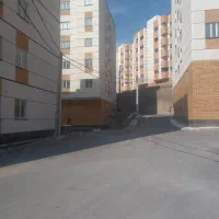 گیلاوند/ محک /۶
