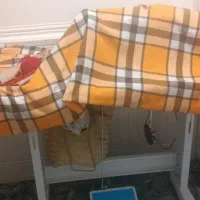 چرخ خیاطی|چرخ خیاطی و ریسندگی|قشم, |دیوار