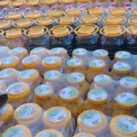 نمایندگی انحصاری فروش محصولات ..صائب..