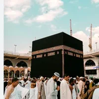 دو عدد حج تمتع به فروش می رسد