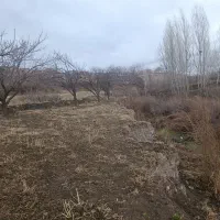 باغ|فروش زمین و ملک کلنگی|مشگین شهر, |دیوار