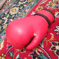 دستکش بوکس|تجهیزات ورزشی|اردبیل, |دیوار