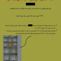 قبولی تضمینی در آیین نامه راهنمایی رانندگی