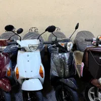 پاکشتی درحد خشک ژاپنی