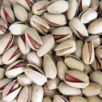 1000متر باغ پسته چاه قویدل
