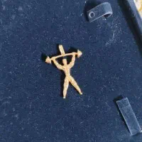 پلاک ورزشی طلا ۸۰بالای تابلو|جواهرات|شیراز, دارالرحمه|دیوار