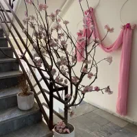 درخت تزئیینی